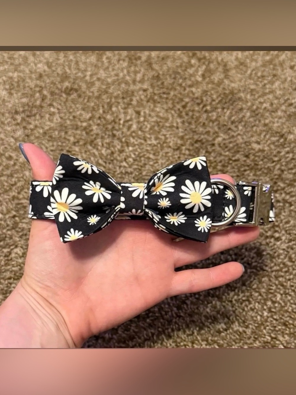 Daisy Bow Collar - Size Medium
